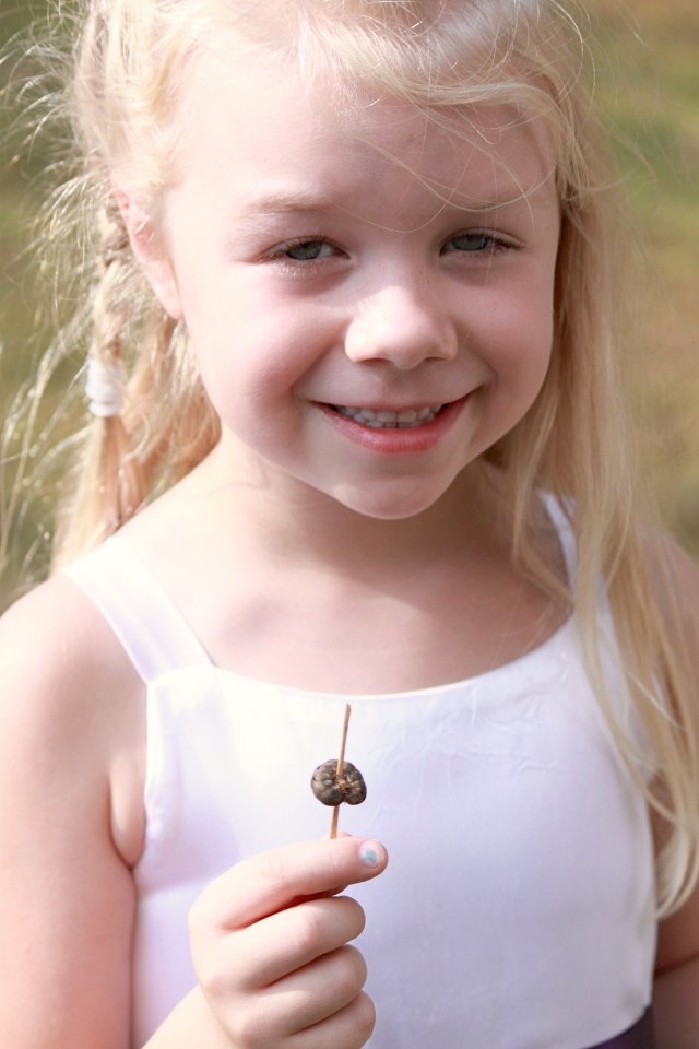 puerto rico photography